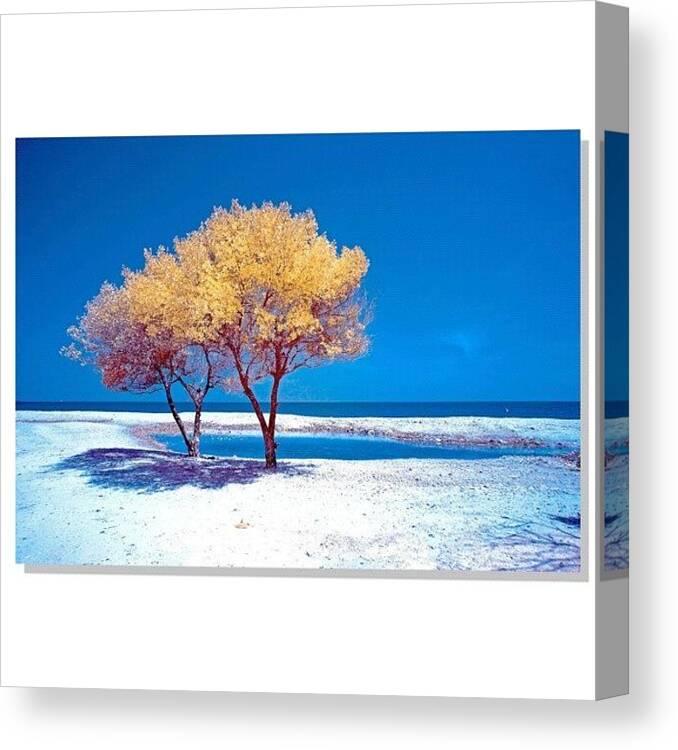 Bestsnaps Canvas Print featuring the photograph #squaready #sky_perfection #1 by Tommy Tjahjono