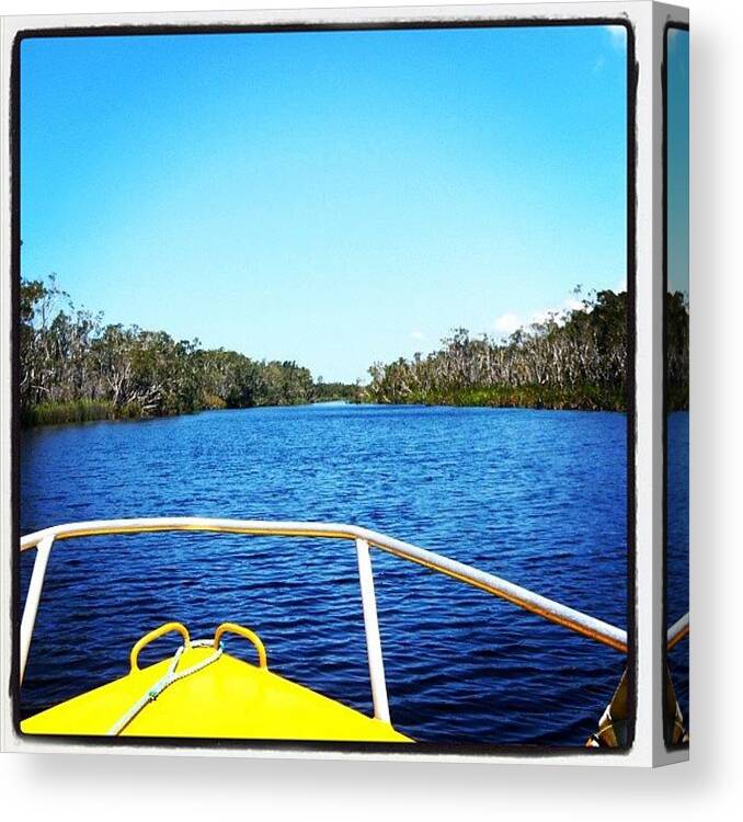 Cooloola Canvas Print featuring the photograph #wilderness #cooloola #everglades #1 by Tony Keim