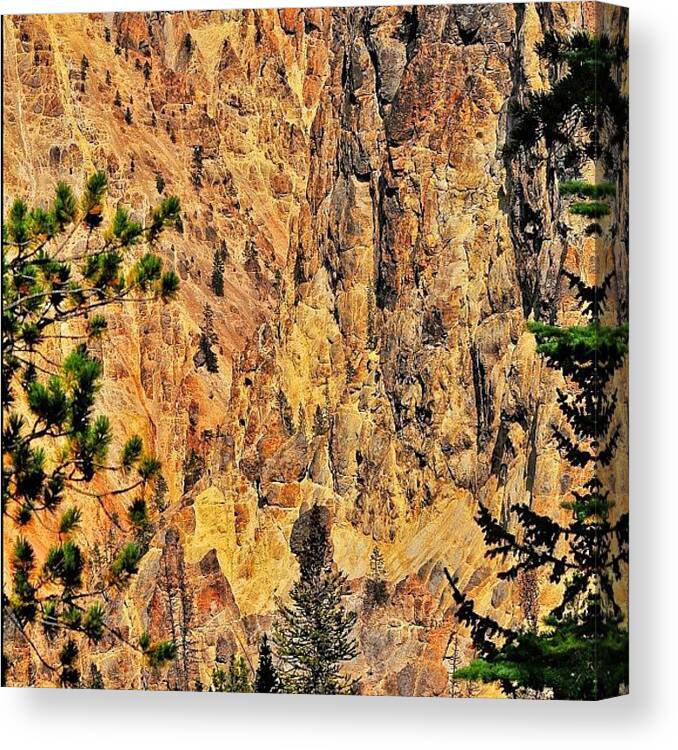 Instaprints Canvas Print featuring the photograph Yellowstone Canyon, Yellowstone #1 by Chris Bechard