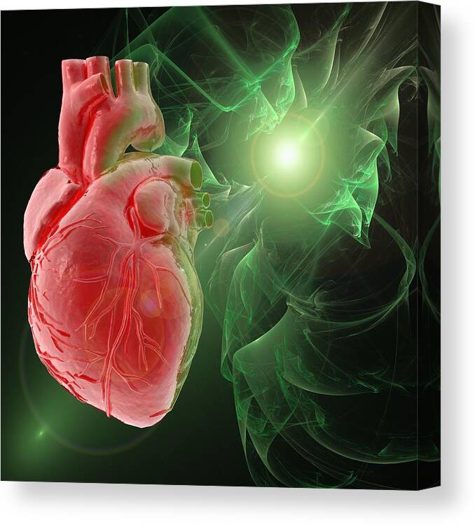 Square Canvas Print featuring the digital art Human Heart, Artwork #12 by Laguna Design