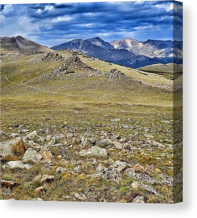 Mountains Canvas Print featuring the photograph On The Tundra. Rocky Mountain National #12 by Chris Bechard