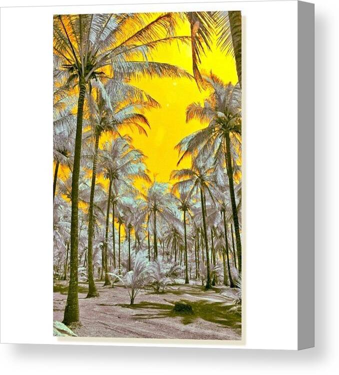 Beautiful Canvas Print featuring the photograph Instagram Photo #151349082909 by Tommy Tjahjono