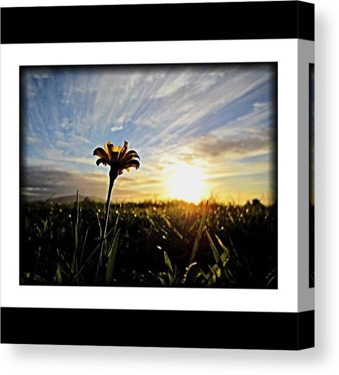 Beautiful Canvas Print featuring the photograph #bradleymatthews7 #bestoftheday #2 by Bradley Matthews