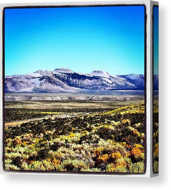 Beautiful Canvas Print featuring the photograph California #2 by Luisa Azzolini