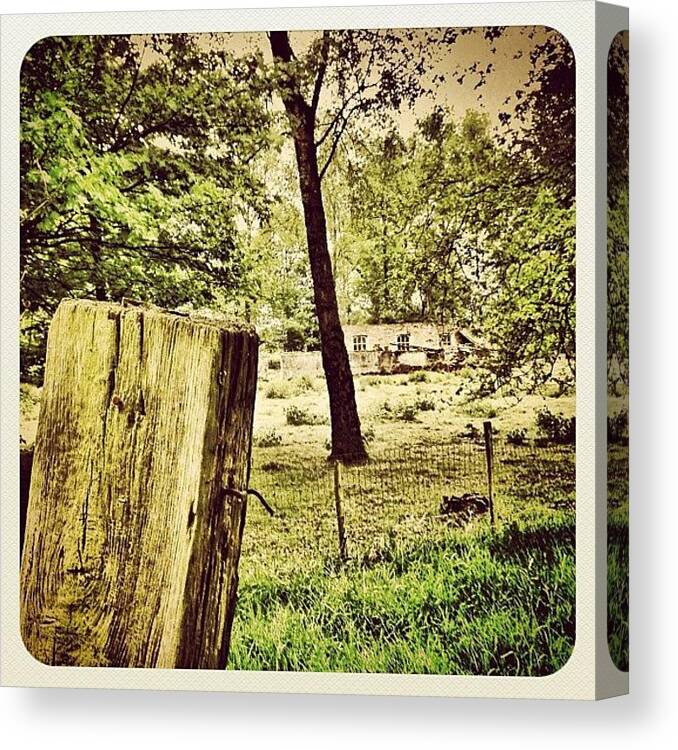 Jj Canvas Print featuring the photograph In The #forest #2 by Wilbert Claessens