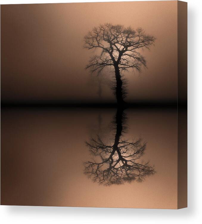Landscape Canvas Print featuring the photograph Sentinels #2 by Andy Astbury