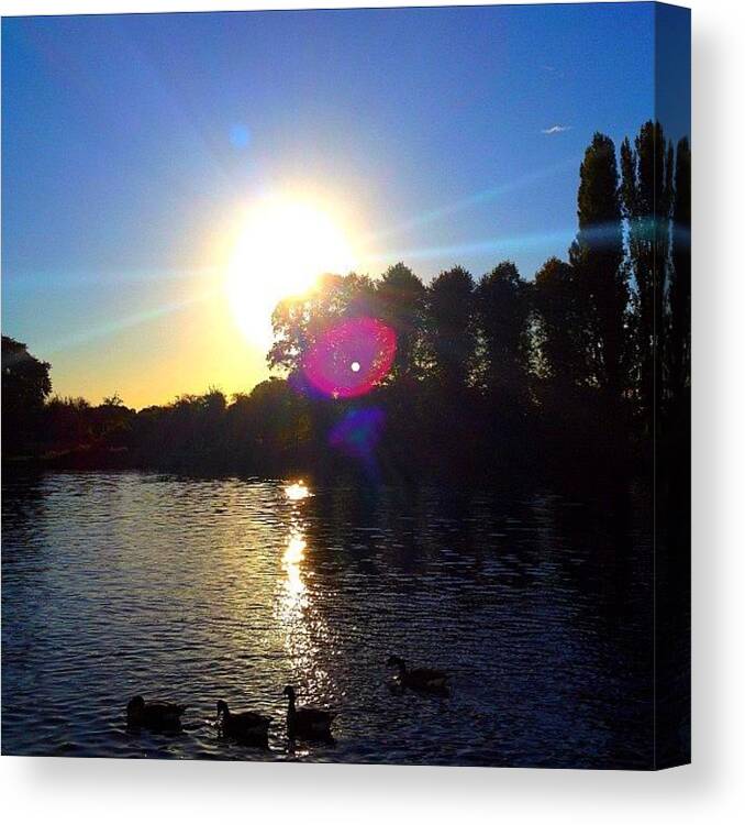 Instamessage Canvas Print featuring the photograph #sky #river #riverthames #goose #2 by Andy Brett