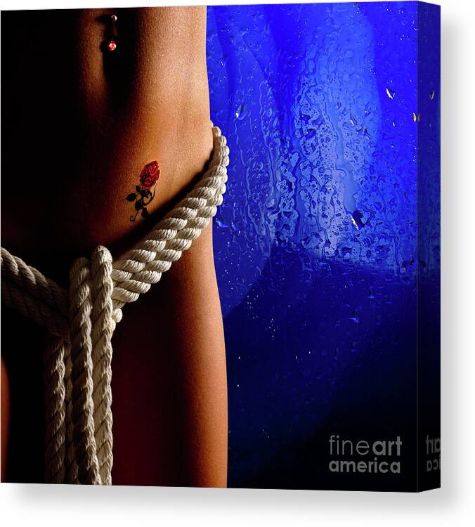 Nude Canvas Print featuring the photograph Temptation #2 by Maxim Images Exquisite Prints