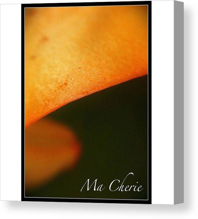 Flower Canvas Print featuring the photograph #instadaily #iphonesia #iphoneography #23 by Sherri Galvan