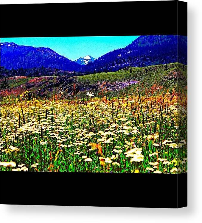 Instacanvas Canvas Print featuring the photograph #instagram #instagramers #all_shots #26 by Mark Jackson
