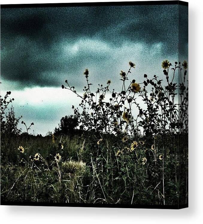 Web Canvas Print featuring the photograph #28 by Jessica Polasek