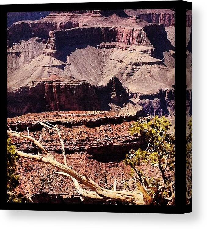 View Canvas Print featuring the photograph Grand Canyon #3 by Isabel Poulin