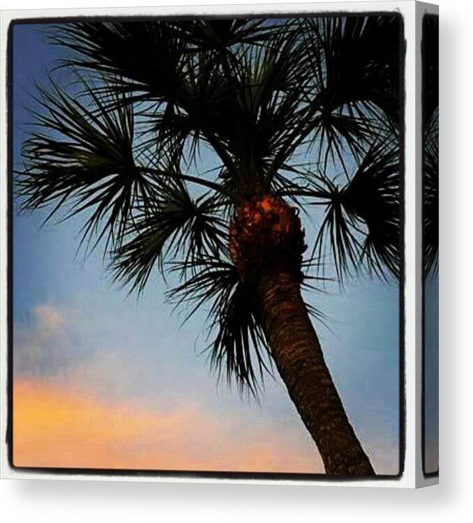 Myphoto Canvas Print featuring the photograph <3 My Condo! #florida #vacation #3 by Natalia D