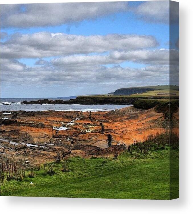 Nature Canvas Print featuring the photograph Orkney's Landscape #3 by Luisa Azzolini