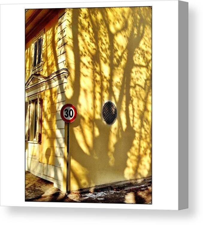 Shadows Canvas Print featuring the photograph 30 Kmh by Paul Cutright