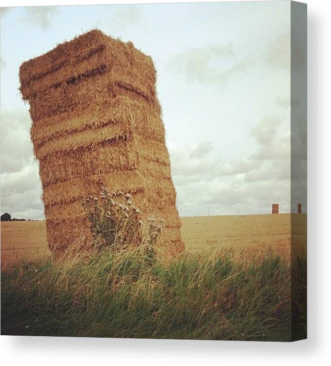 Wheat Canvas Print featuring the photograph #35 by Rob Hughes