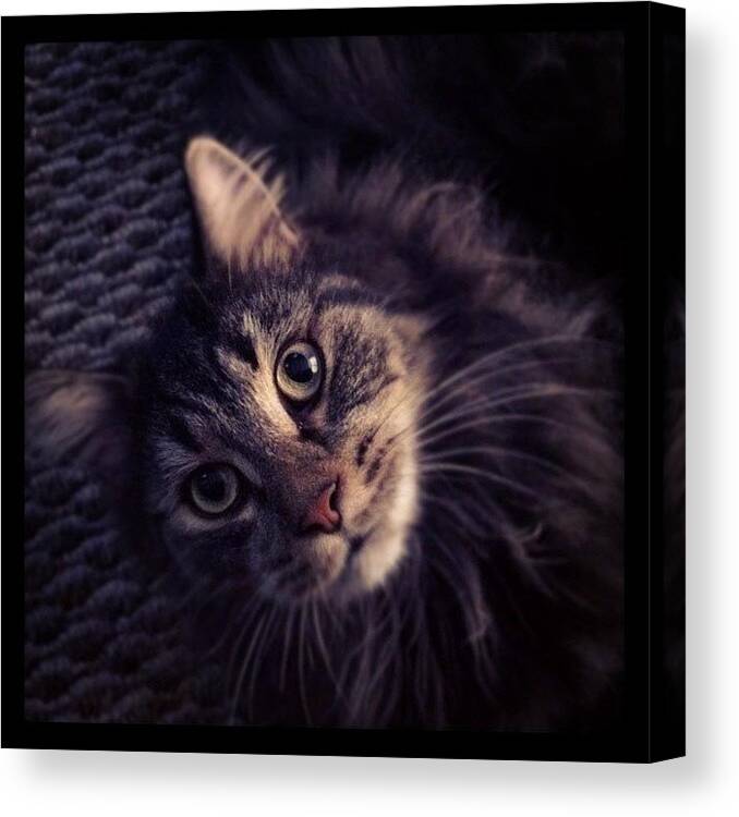  Canvas Print featuring the photograph Instagram Photo #381340392148 by Dave Edens
