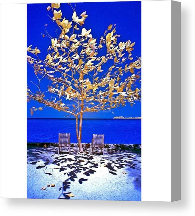 Cute Canvas Print featuring the photograph Instagram Photo #411349684360 by Tommy Tjahjono