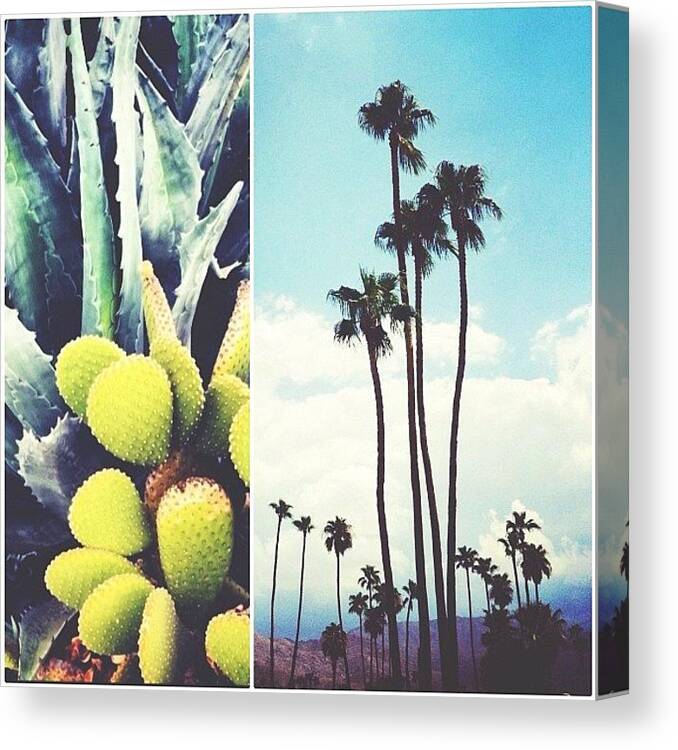  Canvas Print featuring the photograph Instagram Photo #461351760278 by Mermaid Lifee