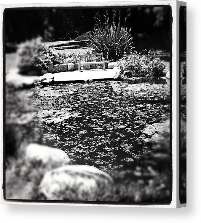 Ifollowback Canvas Print featuring the photograph #instagallery #instagramers #all_shots #47 by Mark Jackson