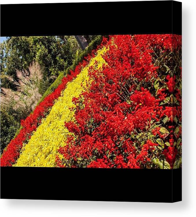 Beautiful Canvas Print featuring the photograph #love #instagood #tweegram #47 by Richard Gould