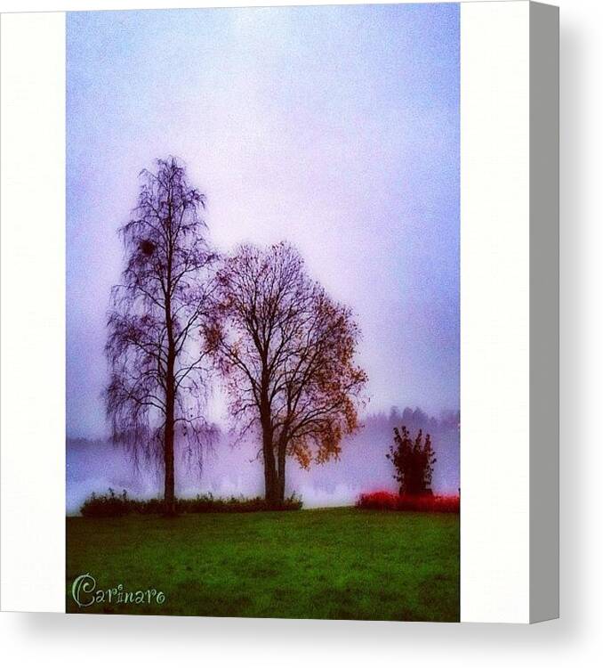Prohdr Canvas Print featuring the photograph #öbacka #umeälven #umeå #5 by Carina Ro