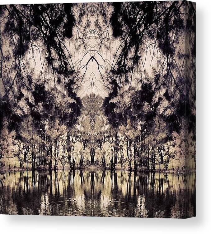 Beautiful Canvas Print featuring the photograph #tagstagram .com #abstract #symmetry #5 by Dan Coyne