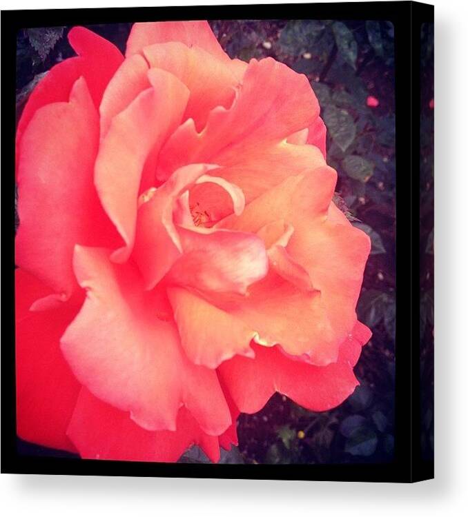  Canvas Print featuring the photograph Instagram Photo #651344011544 by Hannah Dolphin
