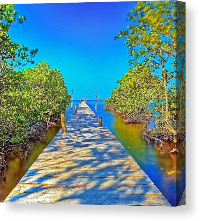 Color Canvas Print featuring the photograph Instagram Photo #661352886446 by Tommy Tjahjono