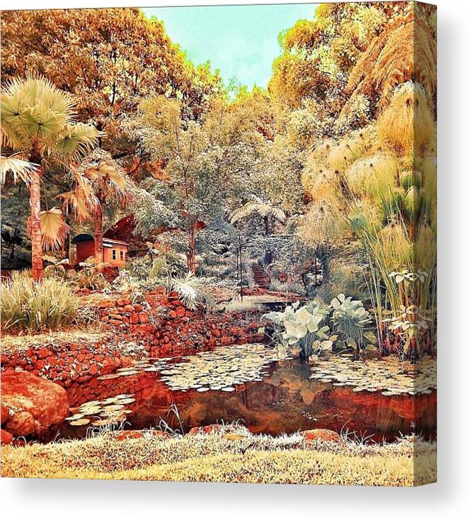 Color Canvas Print featuring the photograph Instagram Photo #661354252395 by Tommy Tjahjono