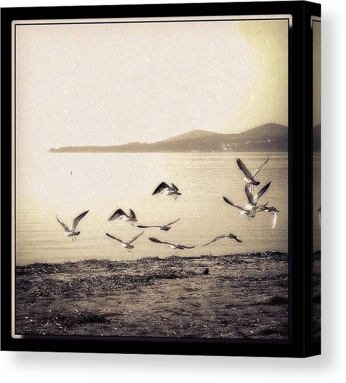 Instaddictdaily Canvas Print featuring the photograph Greece-halkidiki -sithonia #7 by Eroll Erolls