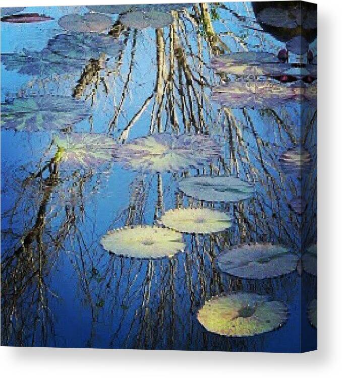 Blue Canvas Print featuring the photograph Instagram Photo #711353980416 by Shobha Nagaprasanna