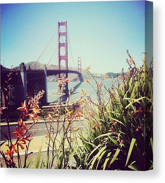 Summer Canvas Print featuring the photograph 75 Years Of The Golden Gate. #sf by Allison Faulkner