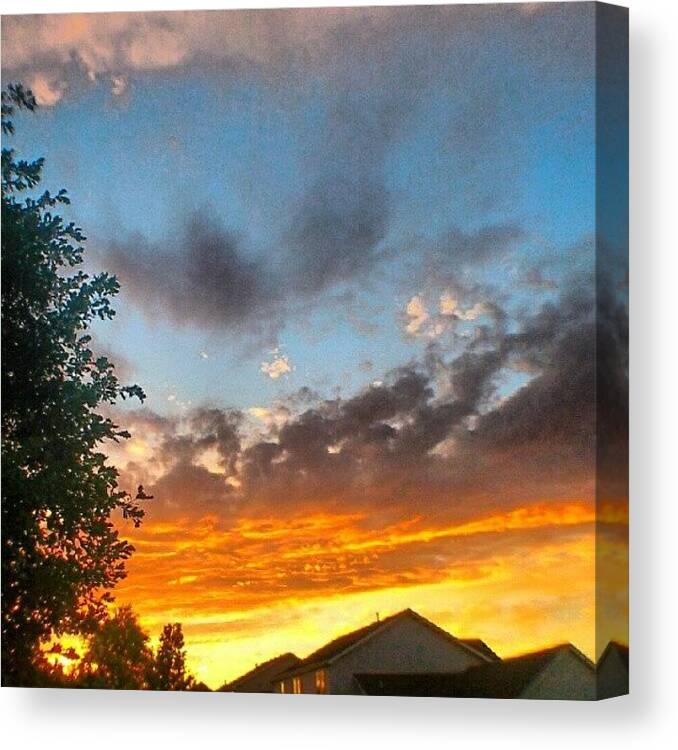 Art Canvas Print featuring the photograph Instagram Photo #761347483462 by Arka Ghosh
