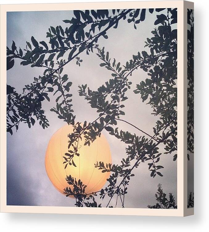  Canvas Print featuring the photograph Instagram Photo #881345314230 by Fiona Garriott