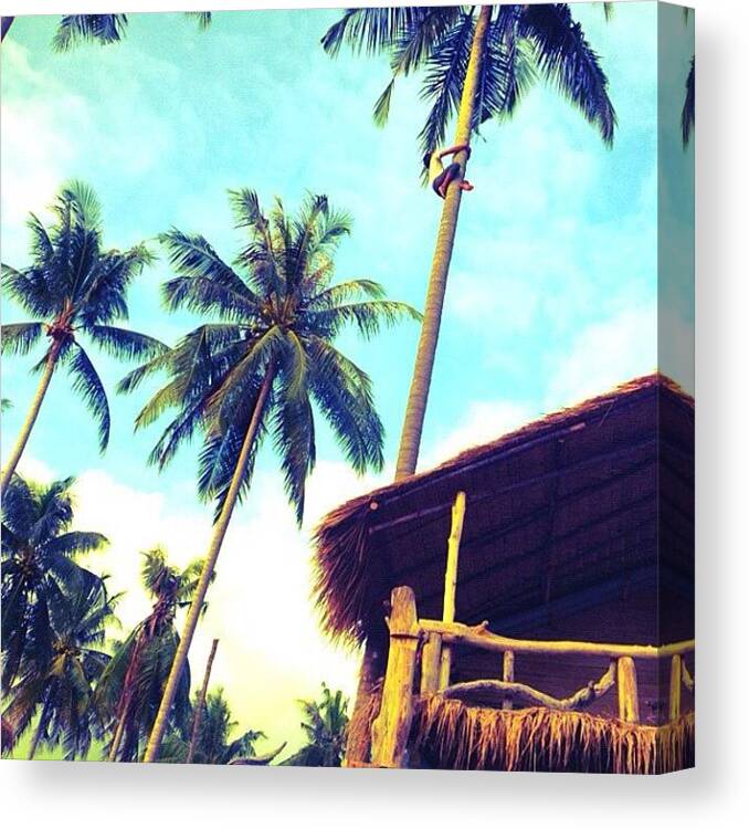 Coconut Canvas Print featuring the photograph #9 by Hitomi Oka
