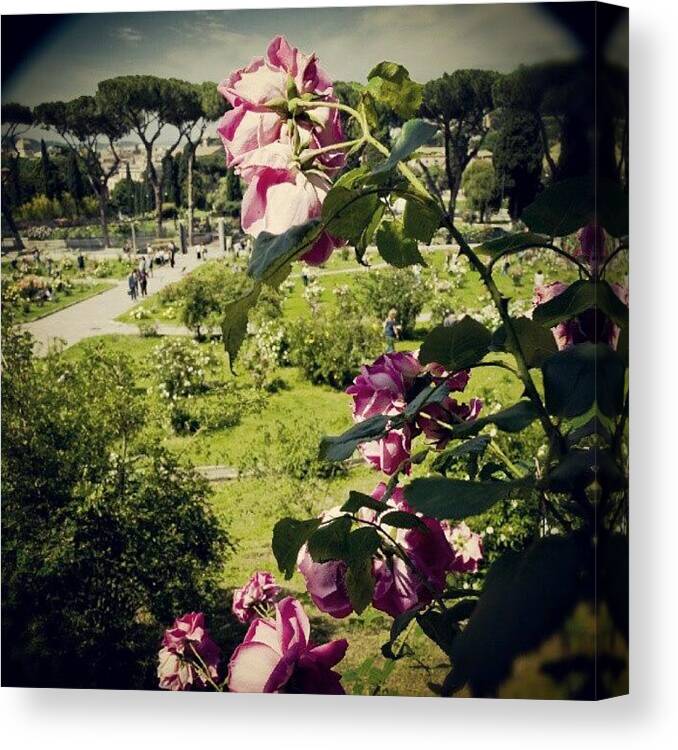 Rome Canvas Print featuring the photograph Instagram Photo #9 by Enrico Di Giamberardino