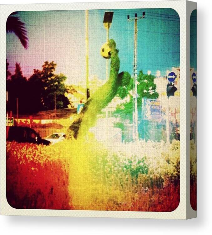 Beautiful Canvas Print featuring the photograph Instagram Photo #901345459573 by Avi Mazuz