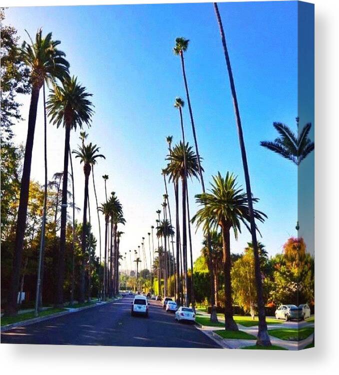 Jj Canvas Print featuring the photograph #90210 #hollywood #beverlyhills #la #90210 by Asaf S