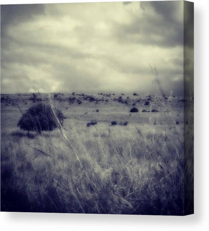  Canvas Print featuring the photograph Instagram Photo #961340760490 by Yogi Nz
