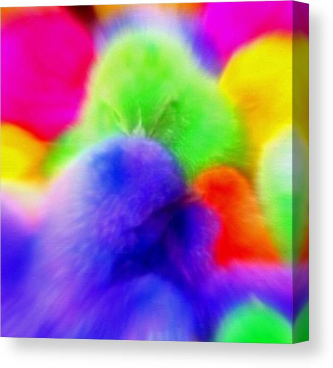 Beautiful Canvas Print featuring the photograph Instagram Photo #971345459484 by Avi Mazuz