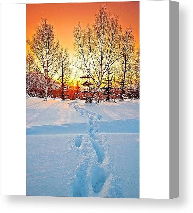 Cute Canvas Print featuring the photograph Instagram Photo #981354252383 by Tommy Tjahjono