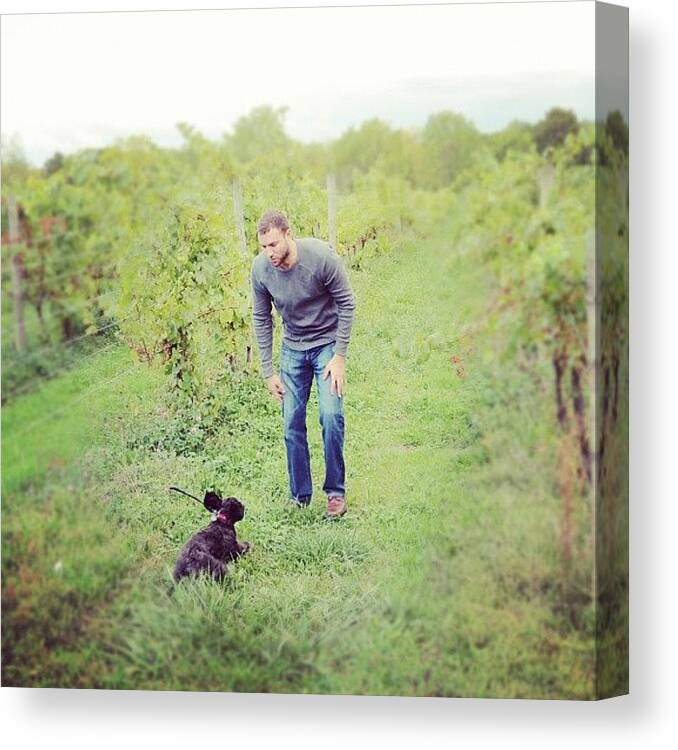 Boy Canvas Print featuring the photograph A Game Of Cat And Mouse. #winery #wine by Jenna Luehrsen