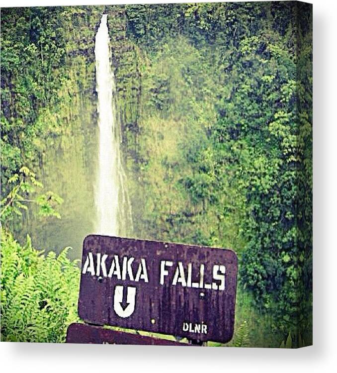 Akakafalls Canvas Print featuring the photograph Akaka Falls by Jessica Daubenmire