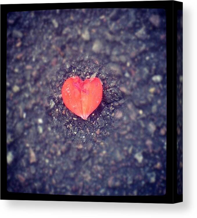 Beautiful Canvas Print featuring the photograph All You Need Is Love! ❤ #love by May Pinky ✨