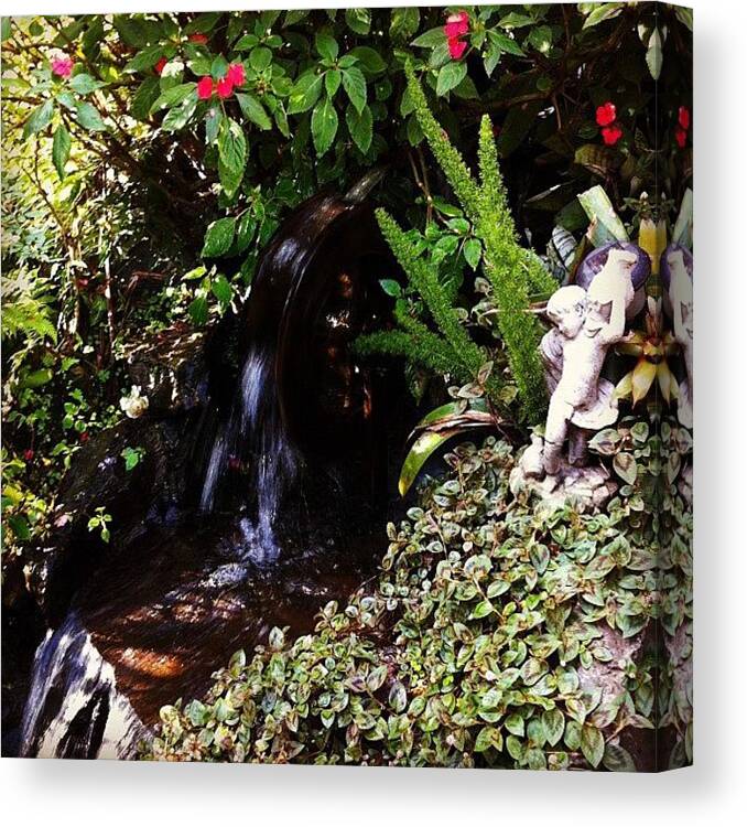 Angel Statue Canvas Print featuring the photograph Angel backyard by Dani Pimenta