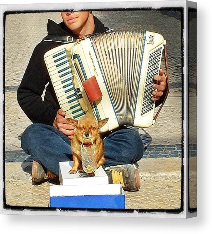 Streetmusician Canvas Print featuring the photograph Another Slave by Ruca Cao