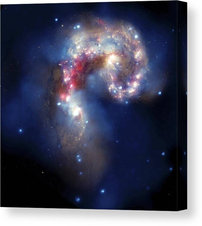 Antennae Galaxies The Baby Dragon Giclee Canvas Space Picture Art 