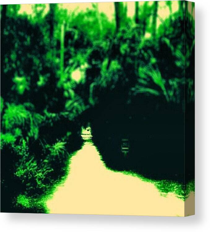 Primeshots Canvas Print featuring the photograph As A Single Footstep Will Not Make A by Melissa Fleming