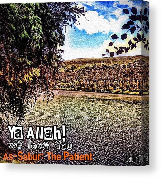 Dailyayat Canvas Print featuring the photograph As-sabur : The Patient by Am No One ;)